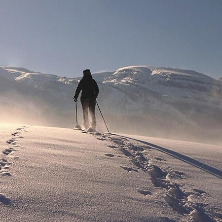 Das Grasberghaus Bagian luar foto